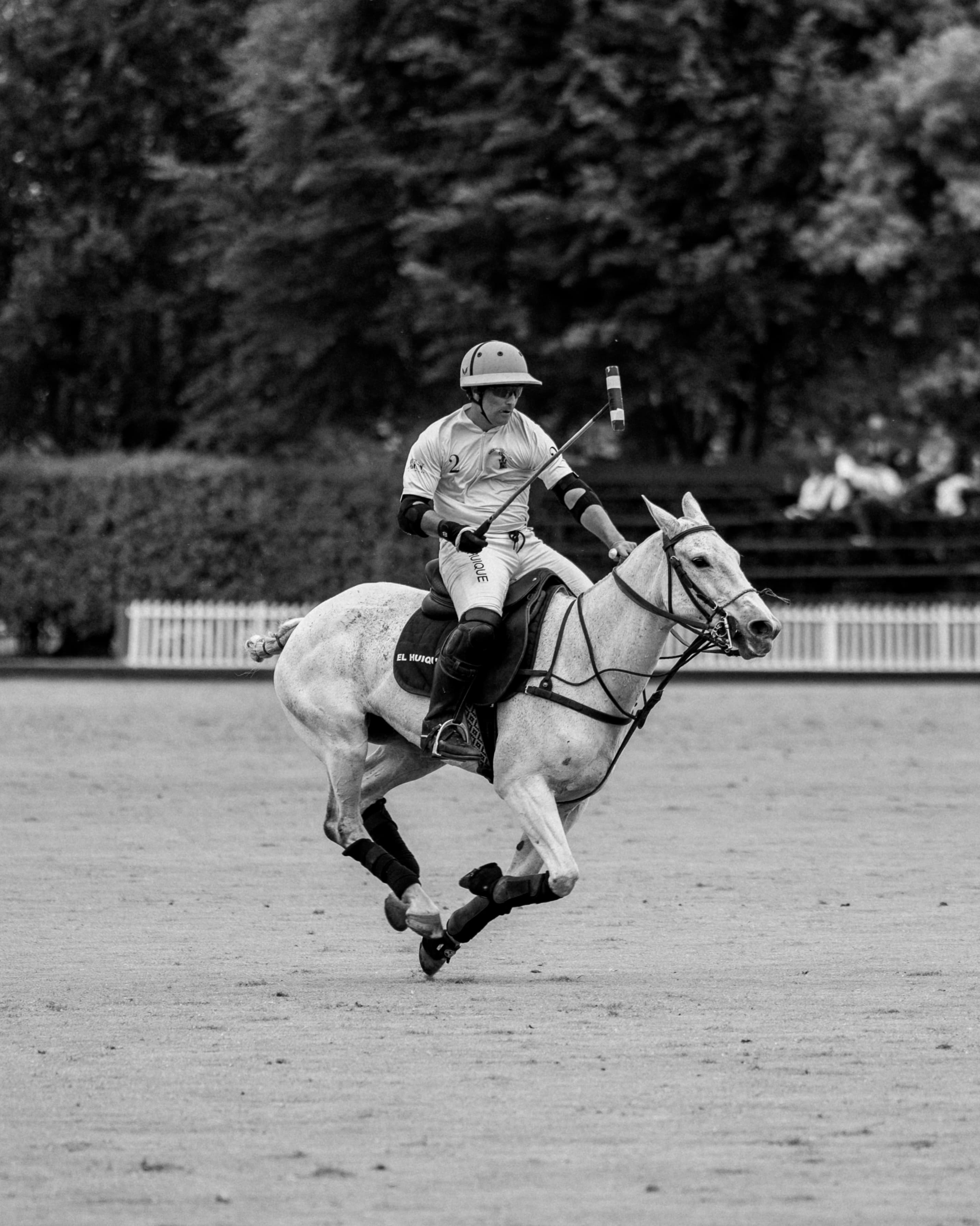 Partido de Polo