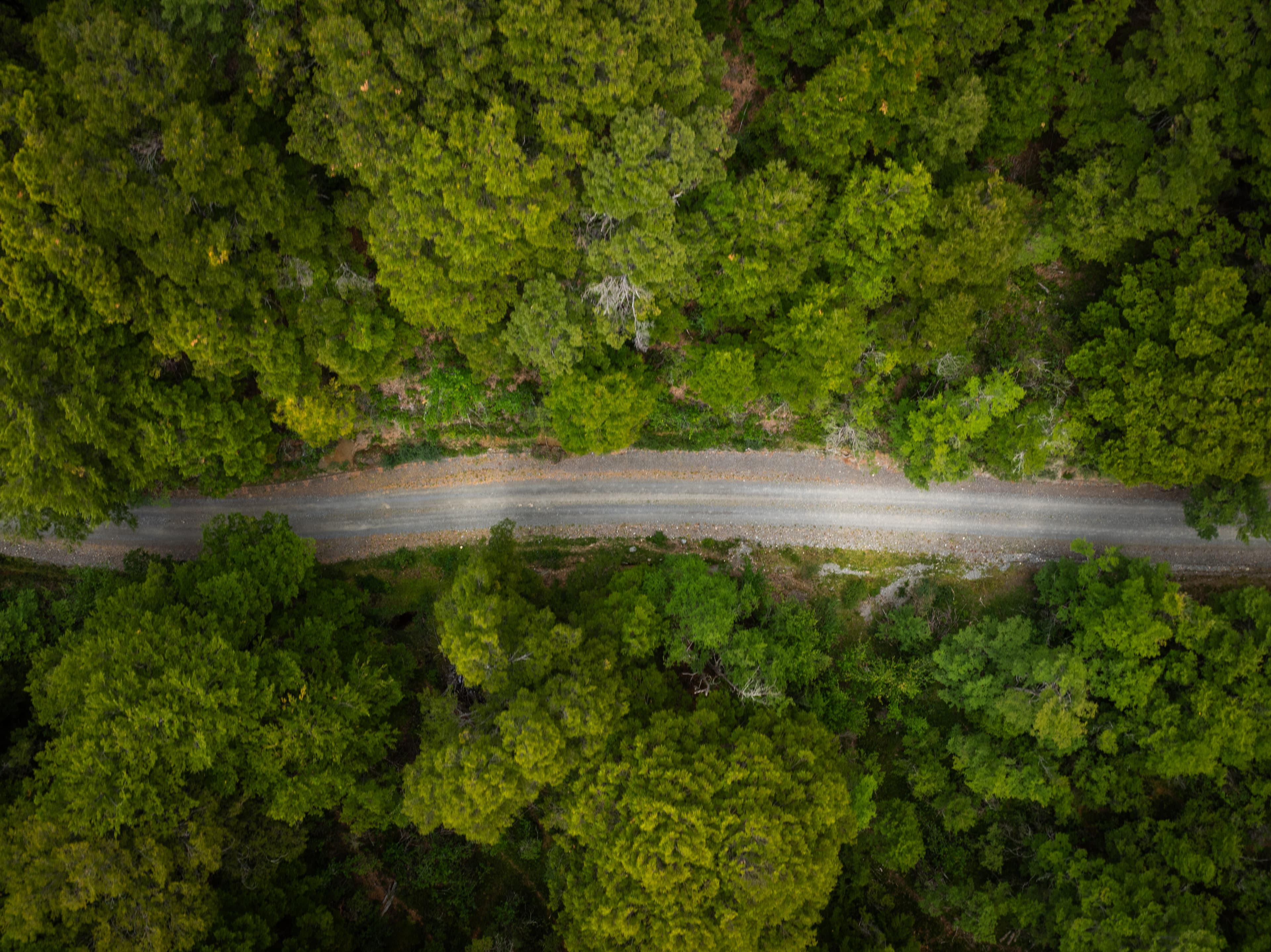 Carretera Austral still