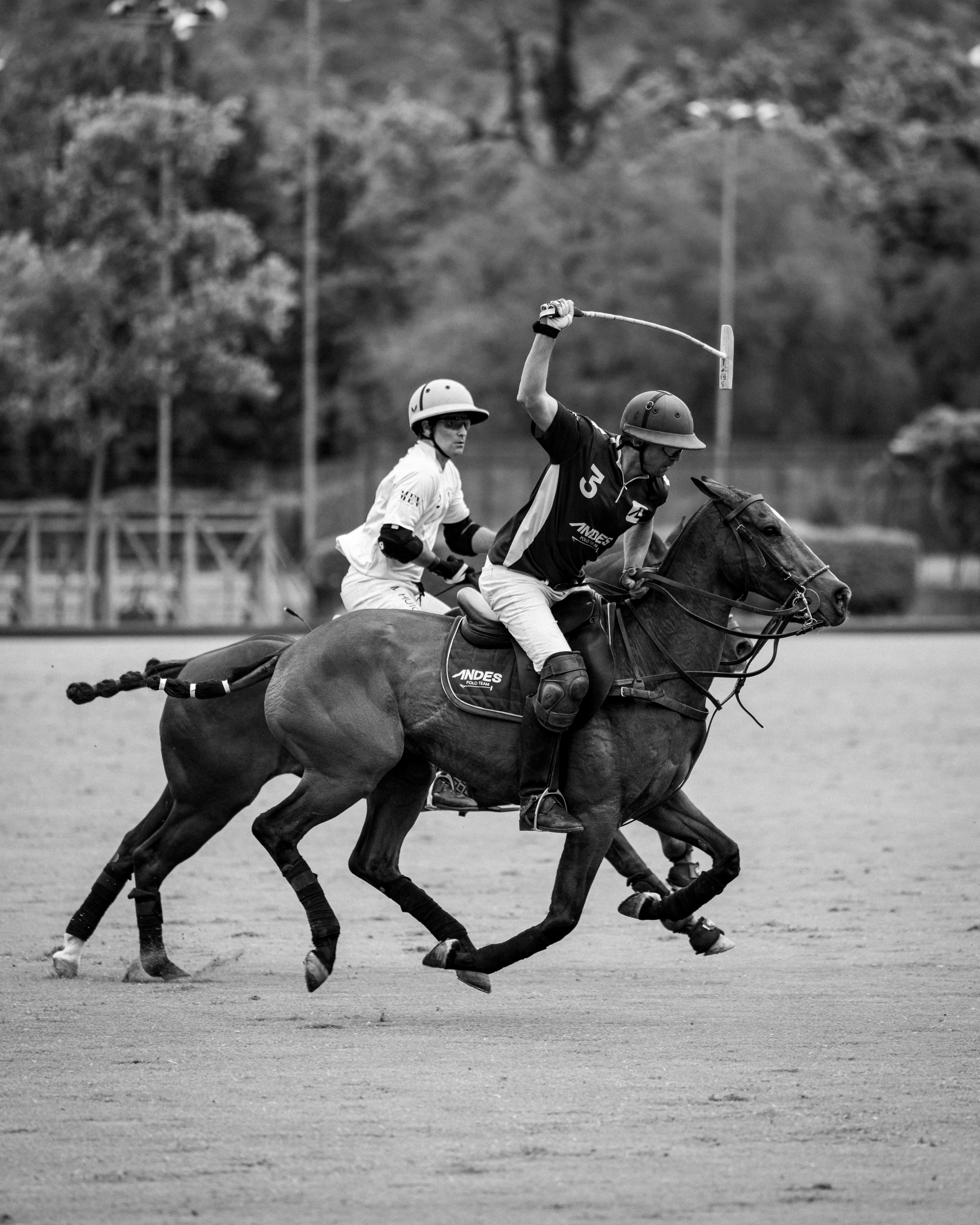 Partido de Polo still
