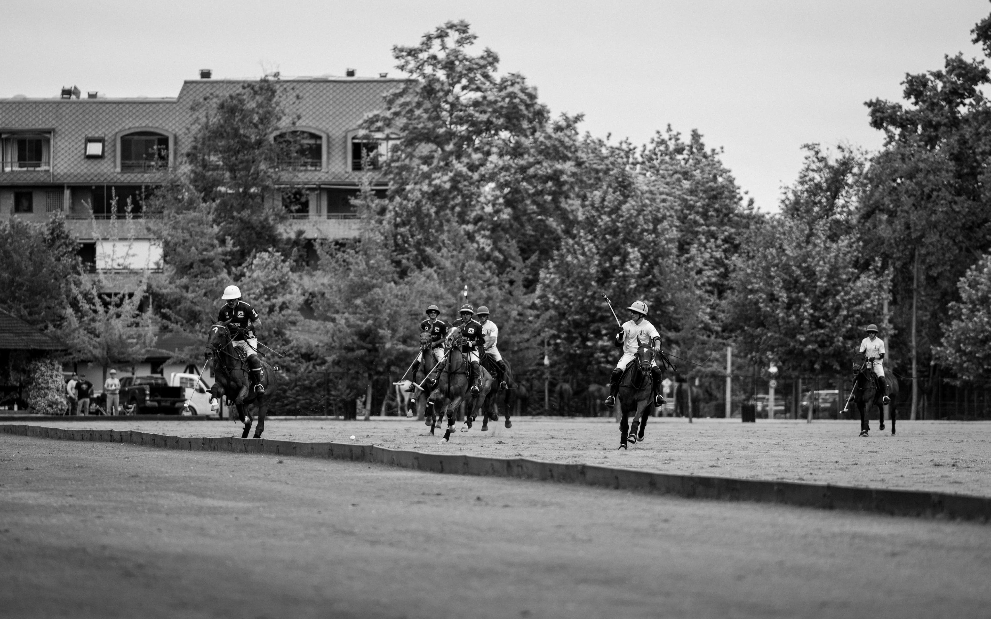 Partido de Polo still